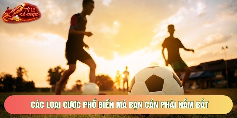 Các loại cược phổ biến mà bạn cần phải nắm bắt