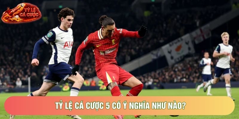 Tỷ lệ cá cược 5 có ý nghĩa như nào?