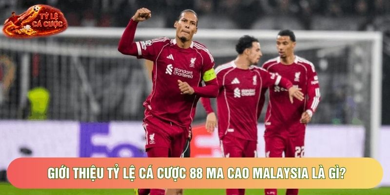 Giới thiệu tỷ lệ cá cược 88 ma cao malaysia là gì?