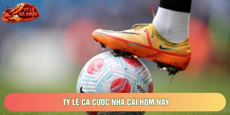 Phân Tích Tỷ Lệ Cá Cược Nhà Cái Hôm Nay Chuẩn Nhất