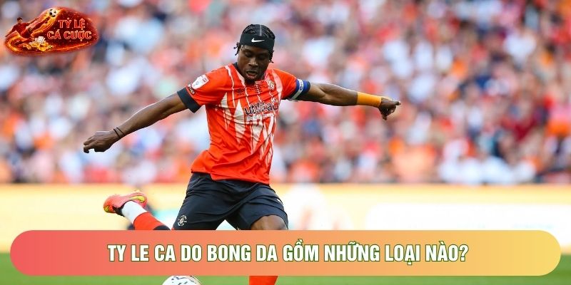 Ty le ca do bong da gồm những loại nào?
