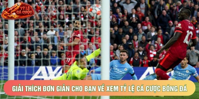 Giải thích đơn giản cho bạn về xem tỷ lệ cá cược bóng đá